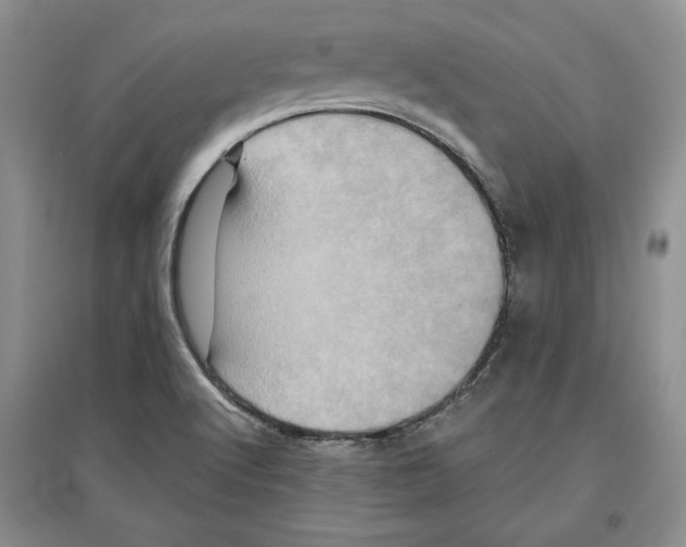 X0000097291512200803141459