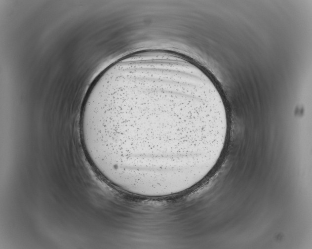 X0000097291513200803141459