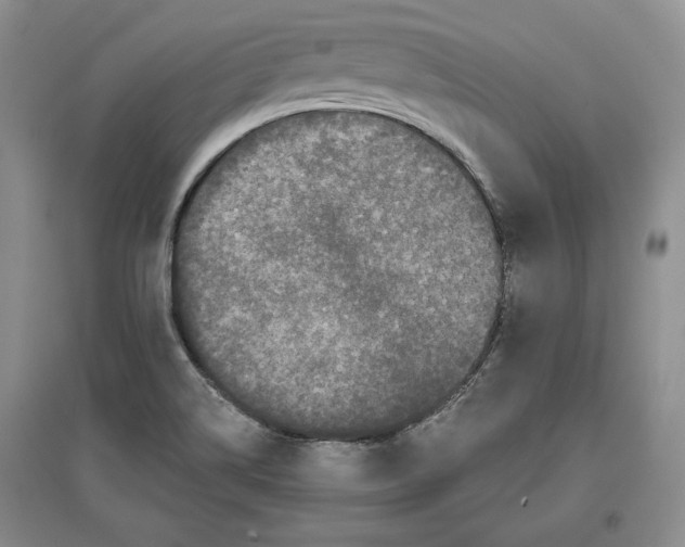 X0000097291514200803141459