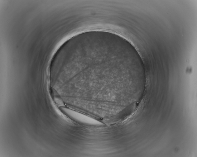 X0000097291515200803141459