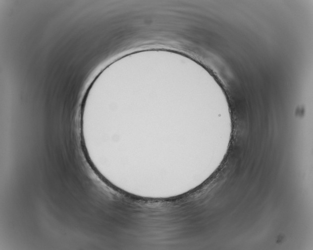 X0000097291516200803141459