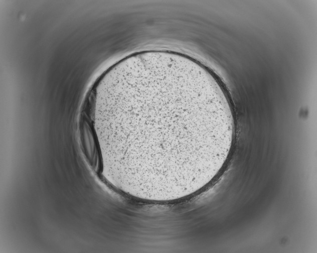 X0000097291517200803141459