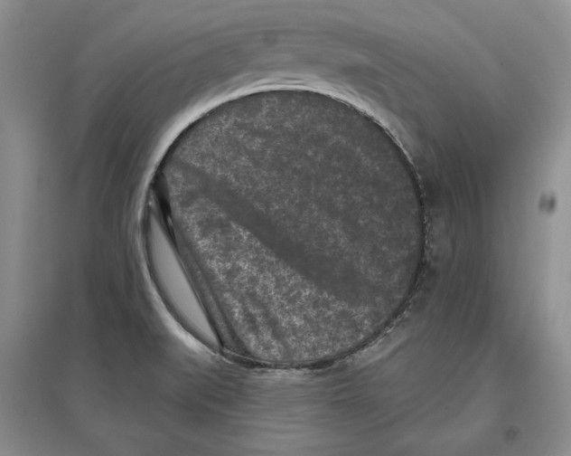 X0000097291519200803141459