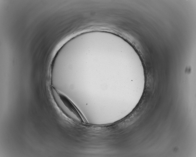 X0000097291520200803141459