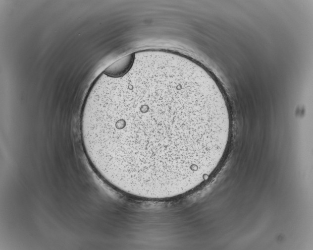 X0000097291521200803141459