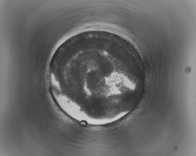 X0000097291522200803141459