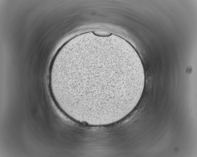 X0000097291523200803141459