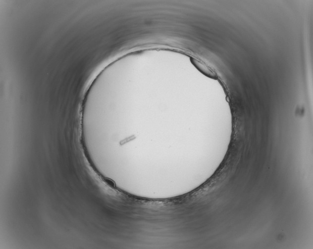 X0000097291524200803141459