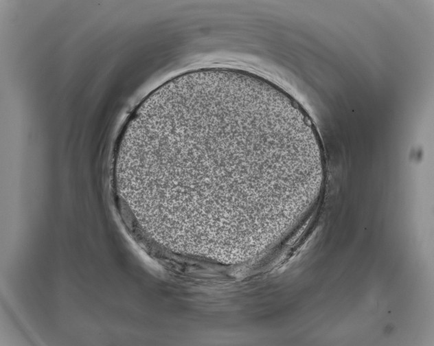 X0000097291525200803141459