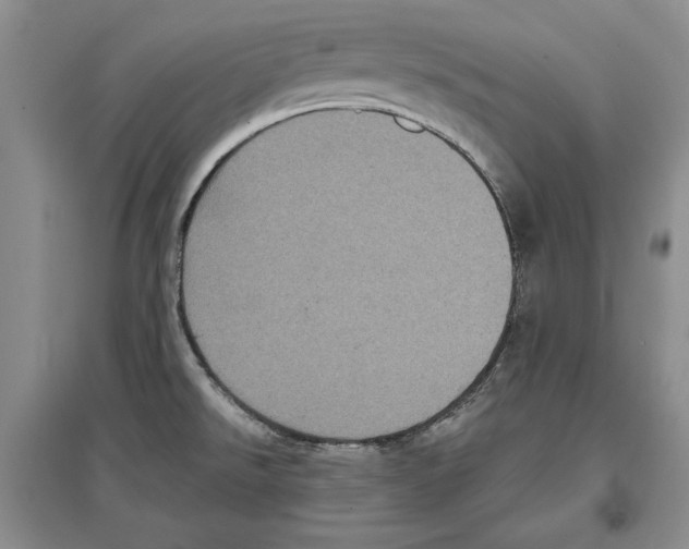 X0000097291526200803141459