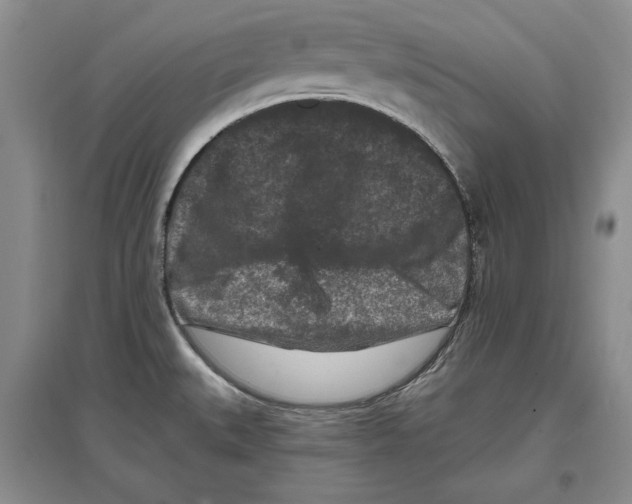 X0000097291527200803141459