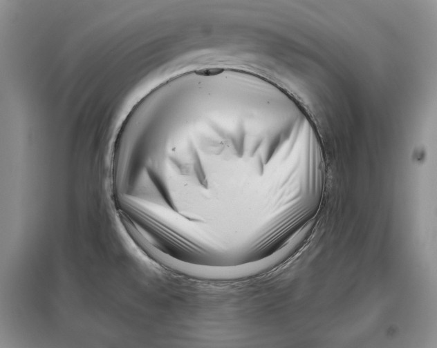 X0000097291528200803141459