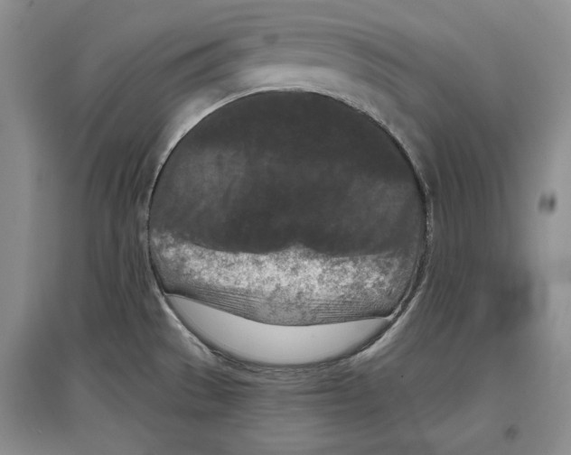 X0000097291529200803141459