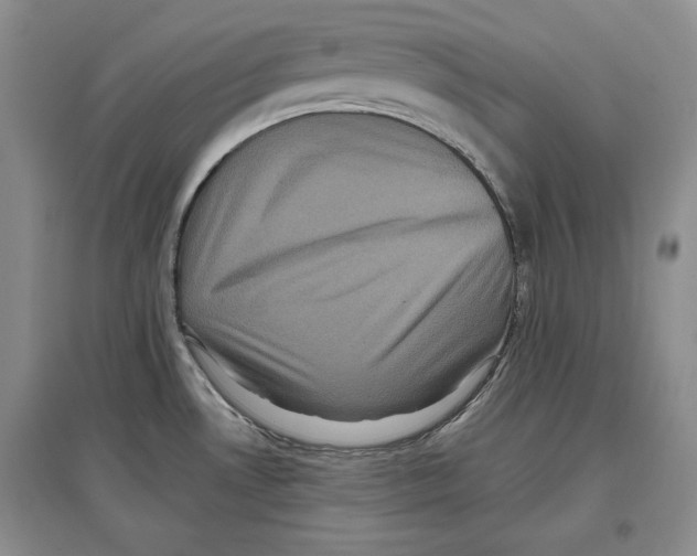 X0000097291530200803141459