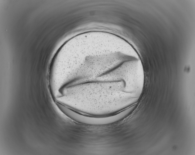 X0000097291531200803141459