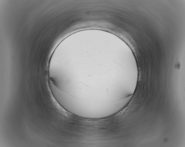 X0000097291532200803141459