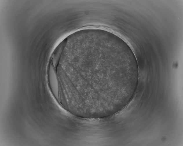 X0000097291533200803141459