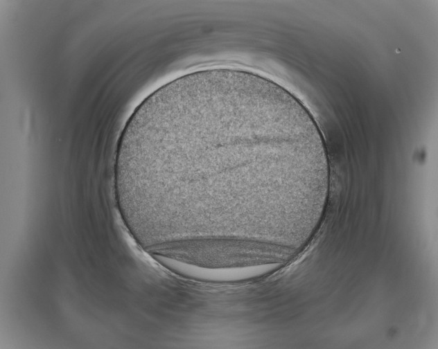 X0000097291534200803141459