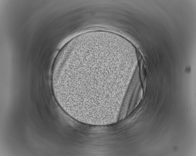 X0000097291535200803141459