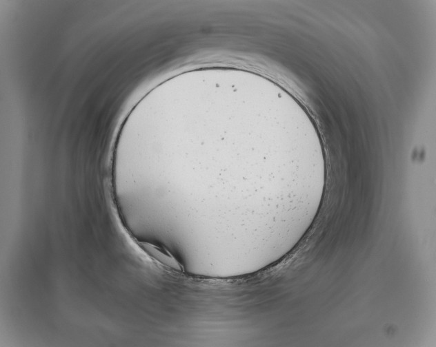 X0000097291536200803141459