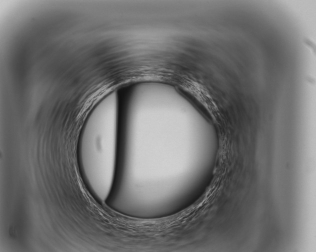 X0000097300001200802151133