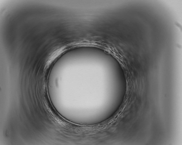 X0000097300005200802151133