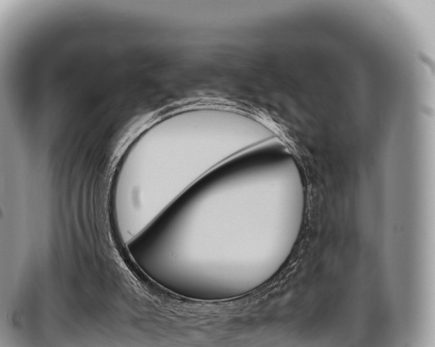 X0000097300007200802151133