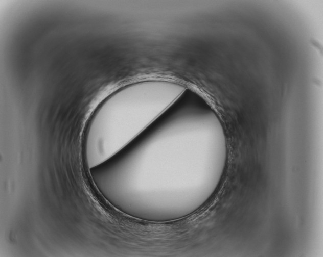 X0000097300008200802151133