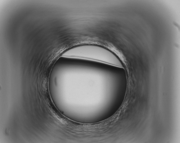 X0000097300009200802151133