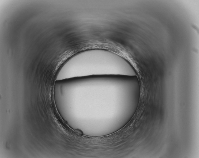 X0000097300010200802151133