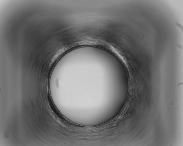 X0000097300011200802151133