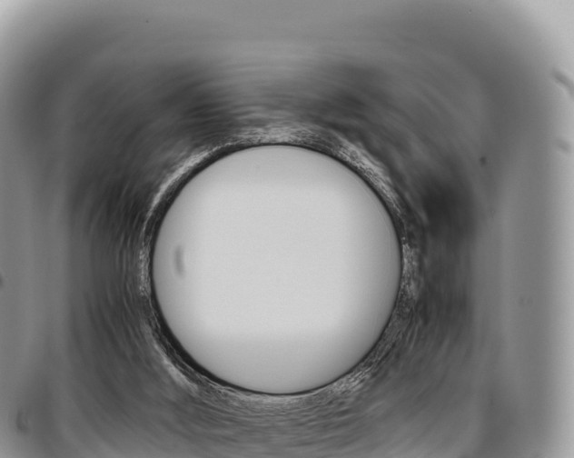 X0000097300012200802151133