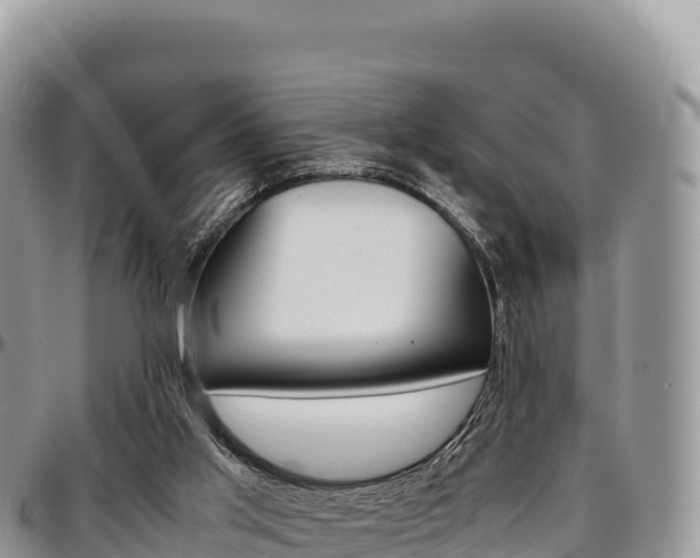 X0000097300013200802151133
