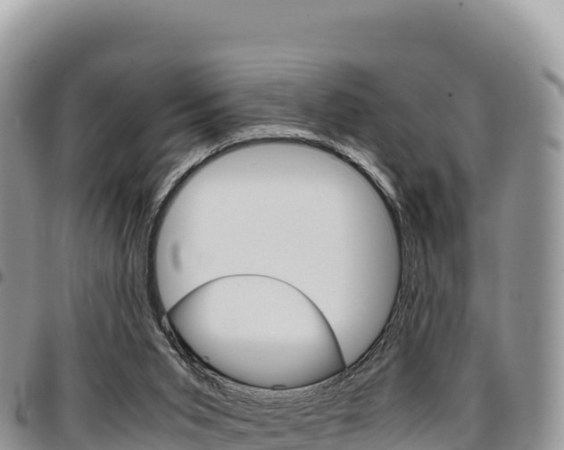 X0000097300015200802151133