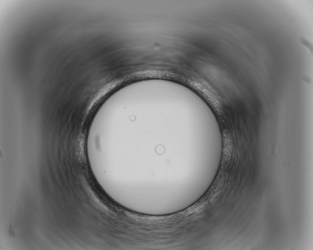 X0000097300016200802151133