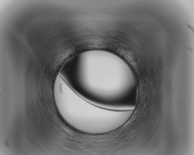 X0000097300017200802151133