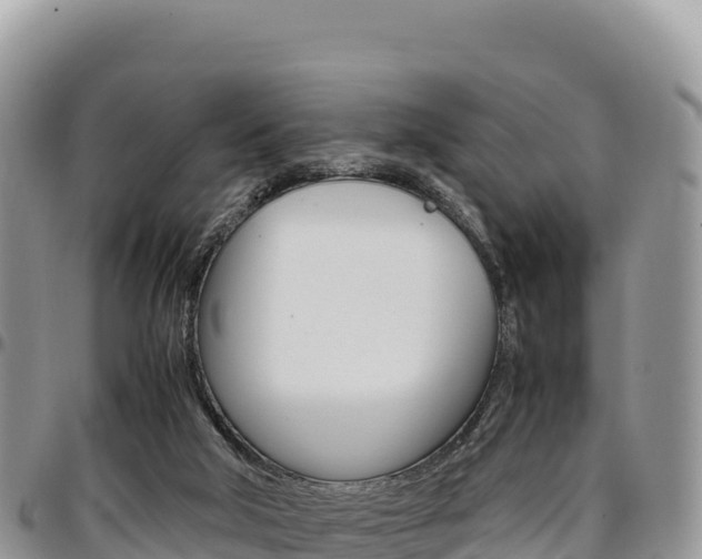 X0000097300018200802151133