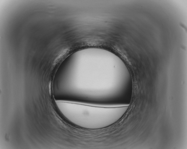 X0000097300019200802151133