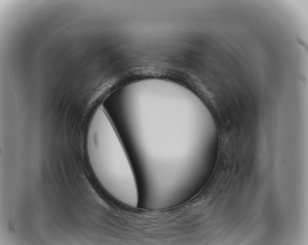 X0000097300020200802151133