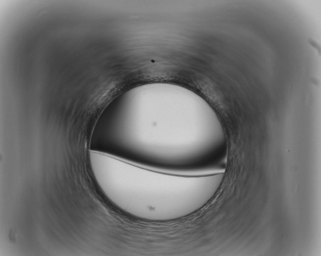 X0000097300021200802151133