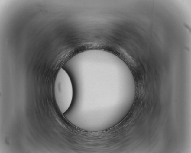 X0000097300022200802151133