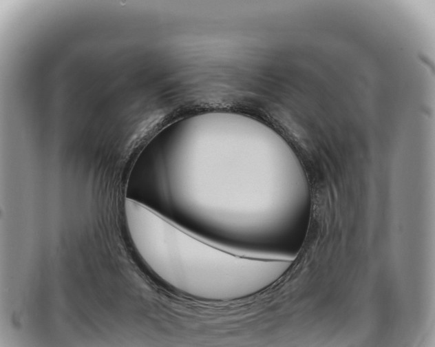 X0000097300023200802151133