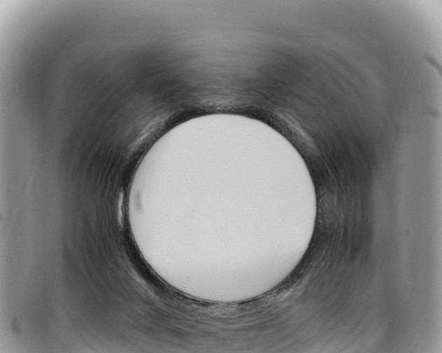 X0000097300024200802151133