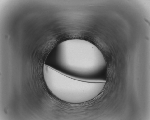 X0000097300025200802151133