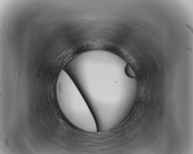 X0000097300026200802151133