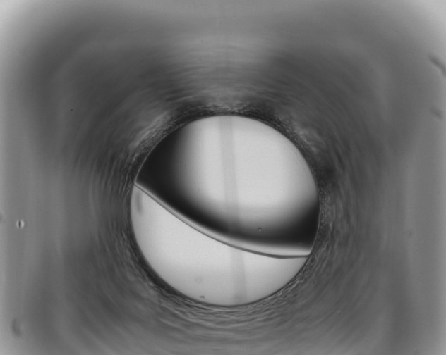 X0000097300027200802151133