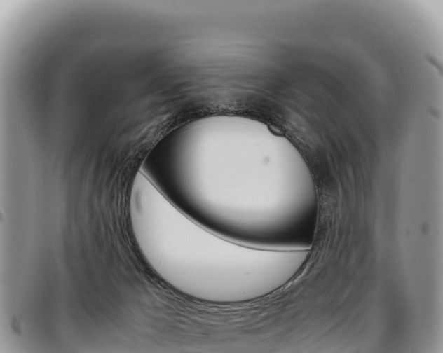 X0000097300029200802151133