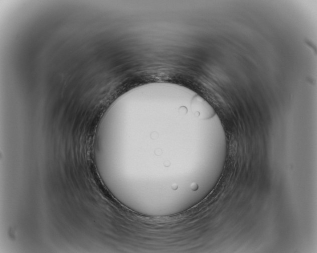 X0000097300030200802151133