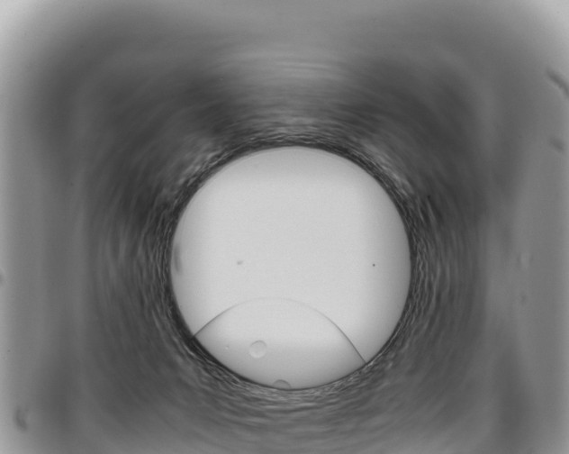 X0000097300031200802151133