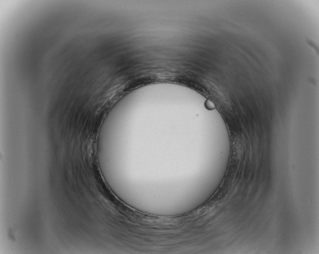 X0000097300032200802151133